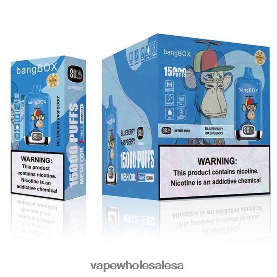 E Cig Wholesale 6ZT848140 Blueberry Raspberry Bang Box 15000