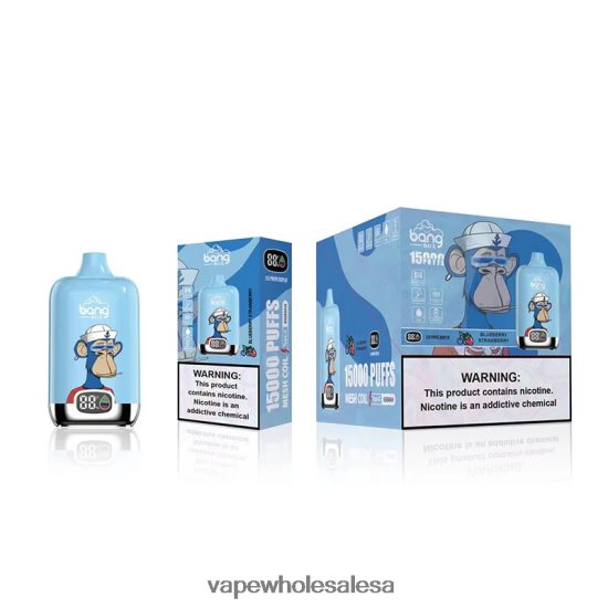 Vape Wholesale South Africa 6ZT848132 Blueberry Strawberry Bang Box 15000