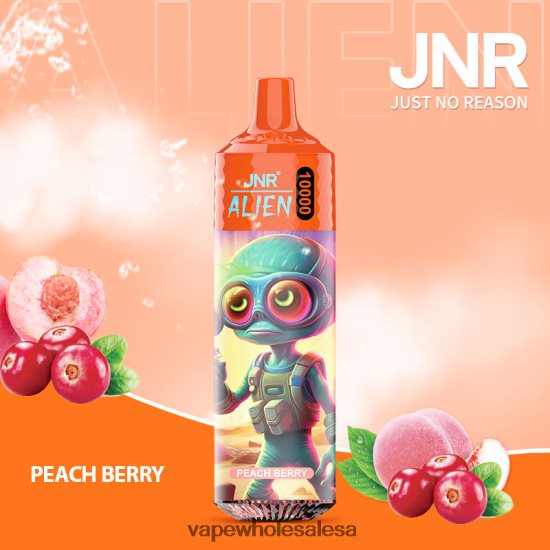 Vape Wholesale Distributor 6ZT848655 Peach Berry JNR ALIEN