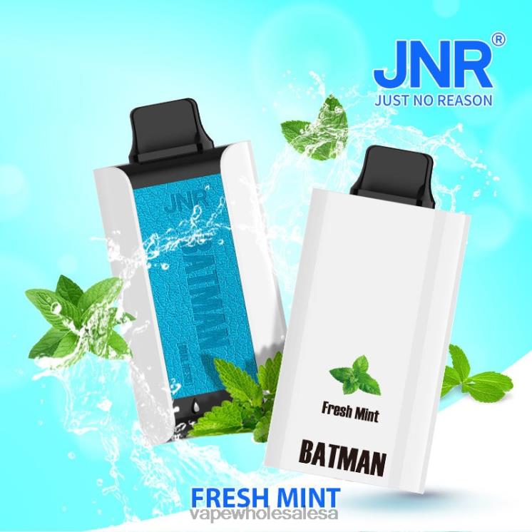 Vape Wholesale Cape Town - JNR BATMAN 11000 Fresh Mint V8HH44