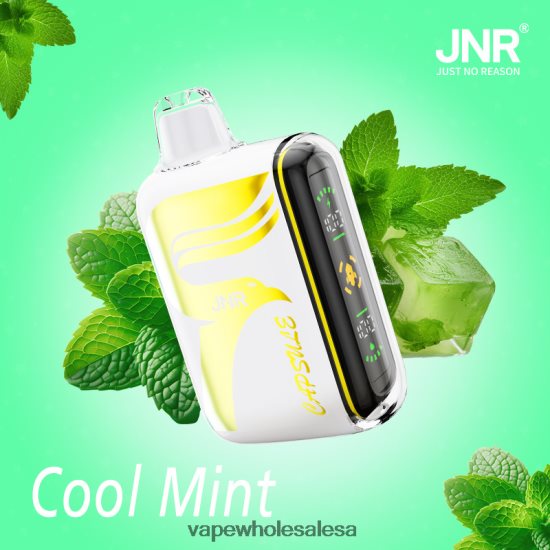 Vape Wholesale Cape Town 6ZT848604 Cool Mint JNR CAPSULE