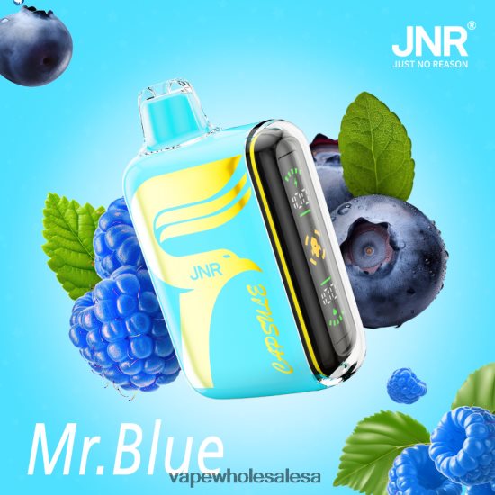 Vape Wholesale Sa 6ZT848606 Mr.Blue JNR CAPSULE