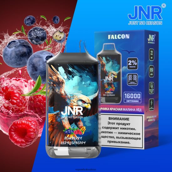 E Cig Wholesale 6ZT848700 Blueberry Red Raspberry JNR FALCON