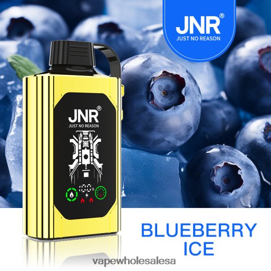 Vape Wholesale Global 6ZT848617 Blueberry Ice JNR SHISHA BOX