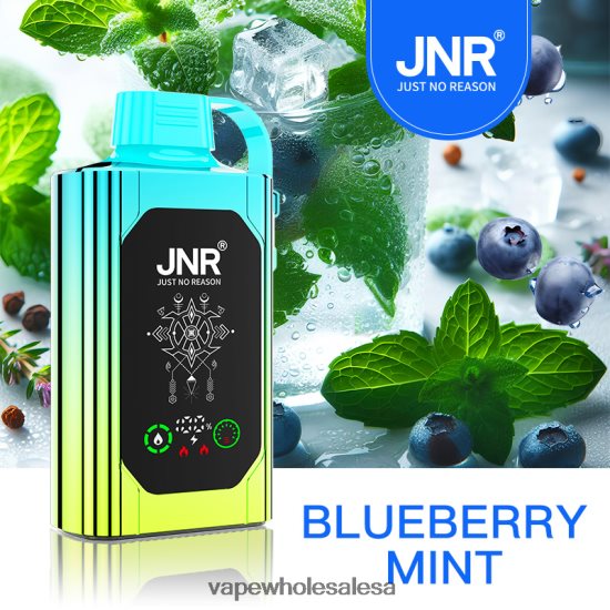 Vape Wholesale Prices 6ZT848618 Blueberry Mint JNR SHISHA BOX