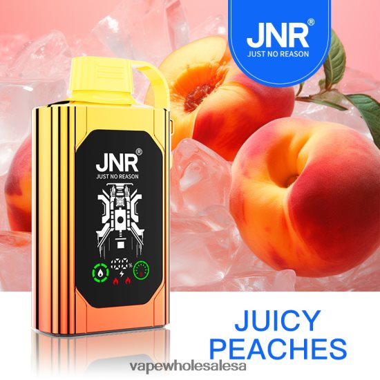 Vape Wholesale South Africa 6ZT848622 Juicy Peaches JNR SHISHA BOX