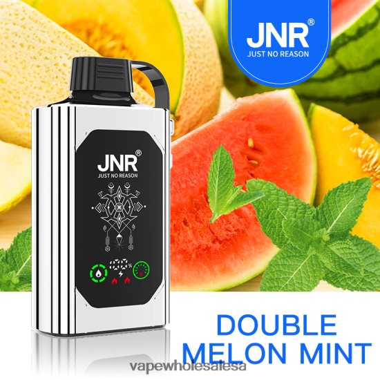 Vape Wholesale Suppliers 6ZT848621 Double Melon Mint JNR SHISHA BOX