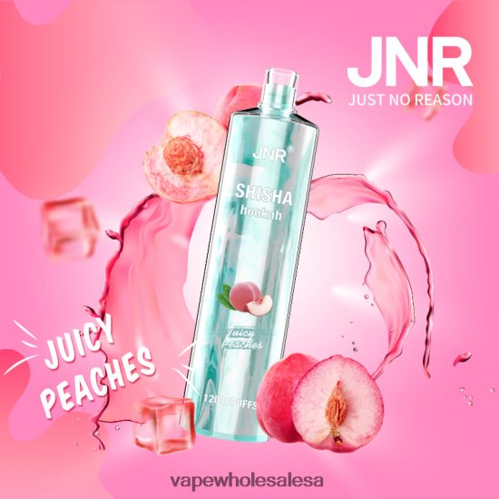 E Cig Wholesale 6ZT848680 Juicy Peaches JNR SHISHA