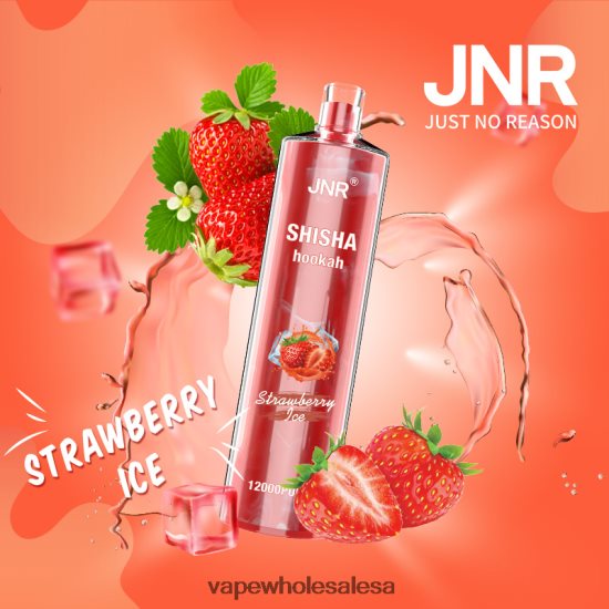 E Cig Wholesale Distributors 6ZT848689 Strawberry Ice JNR SHISHA