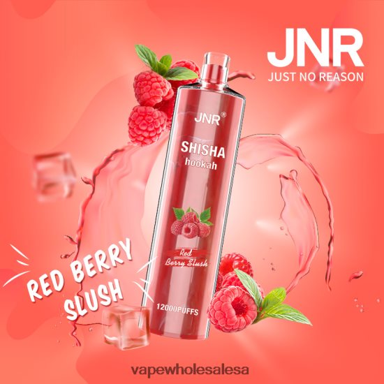 Vape Wholesale Global 6ZT848687 Red Berry Slush JNR SHISHA