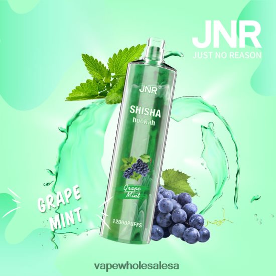 Vape Wholesale Prices 6ZT848678 Grape Mint JNR SHISHA