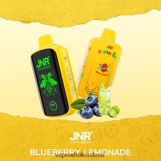 Vape Wholesale Cape Town 6ZT848584 Blueberry Lemonade JNR SKYWALKER BOX