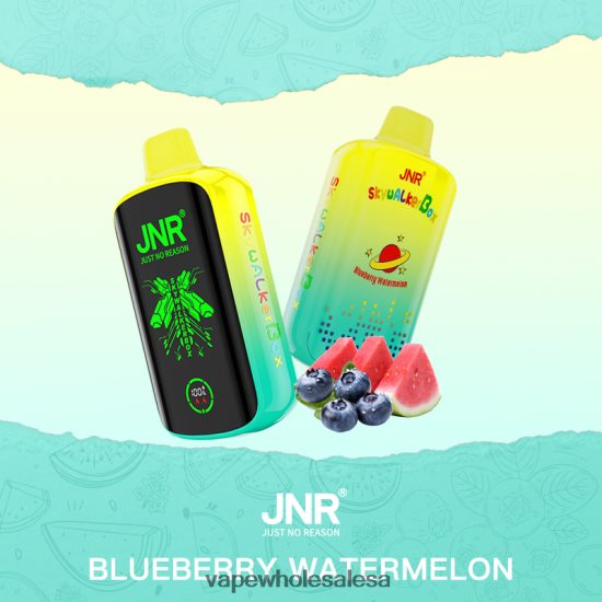 Vape Wholesale Sa 6ZT848586 Blueberry Watermelon JNR SKYWALKER BOX