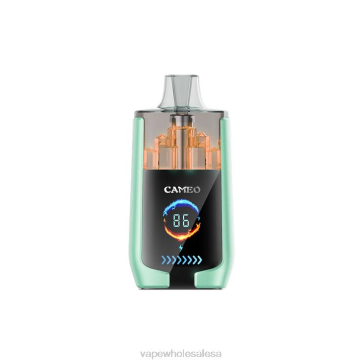 E Cig Wholesale - LAVIE CAMEO 30000 Puffs Double Apple D8P2420