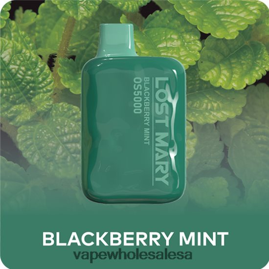 Vape Wholesale Distributor 6ZT848485 Blackberry Mint LOST MARY OS5000