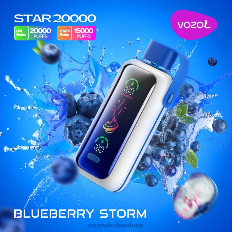 Vape Wholesale Distributor - VOZOL STAR 20000 BLUEBERRY STORM B66T45